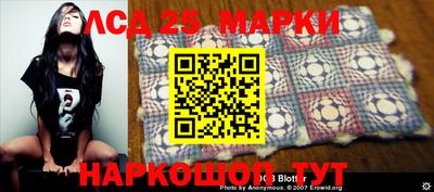 бошки Кимры