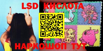 бошки Кимры