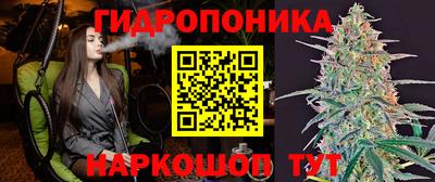 бошки Кимры